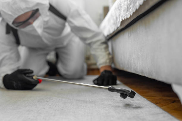 Professional Cockroach Control technician working in Mims, FL