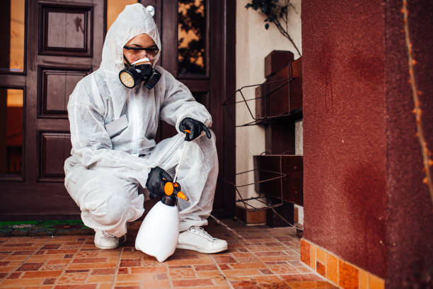 Reliable Cockroach Control contractor in Mims, FL by Nex Pest Control
